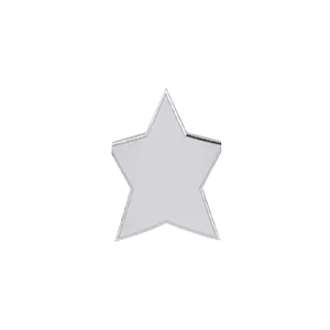 SG Fine Charm Necklaces Slider Solid Star Charm
