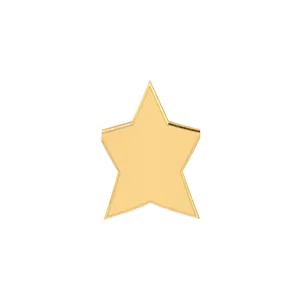 SG Fine Charm Necklaces Slider Solid Star Charm