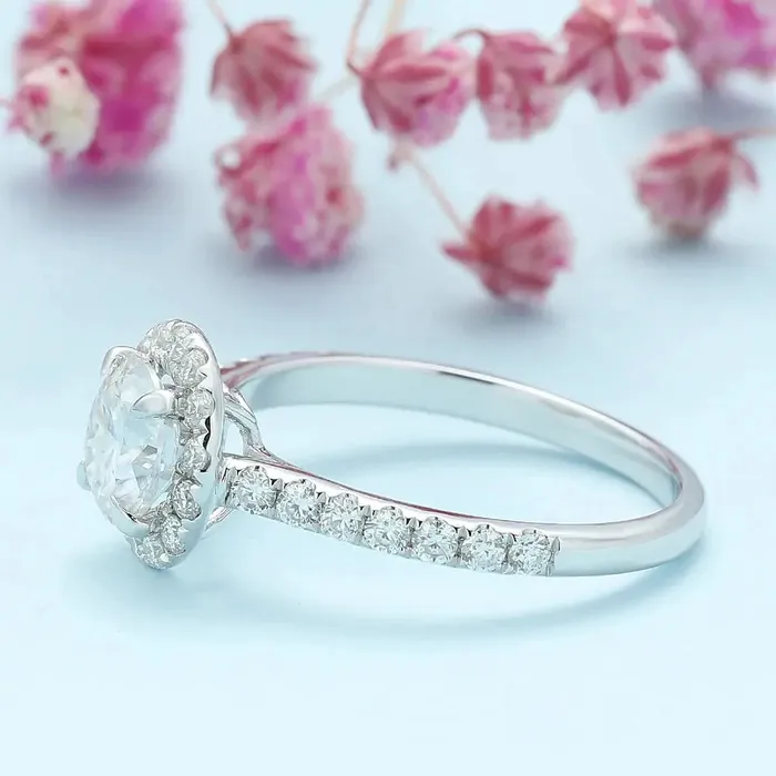Silver or Gold Plated Silver Halo Moissanite Engagement Ring Affordable 1ct Luxus Moissanite Rings