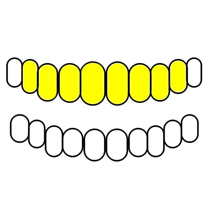 Rings Bling Cartel Admin Real 10K Gold All Open Face Hollow Custom Grillz